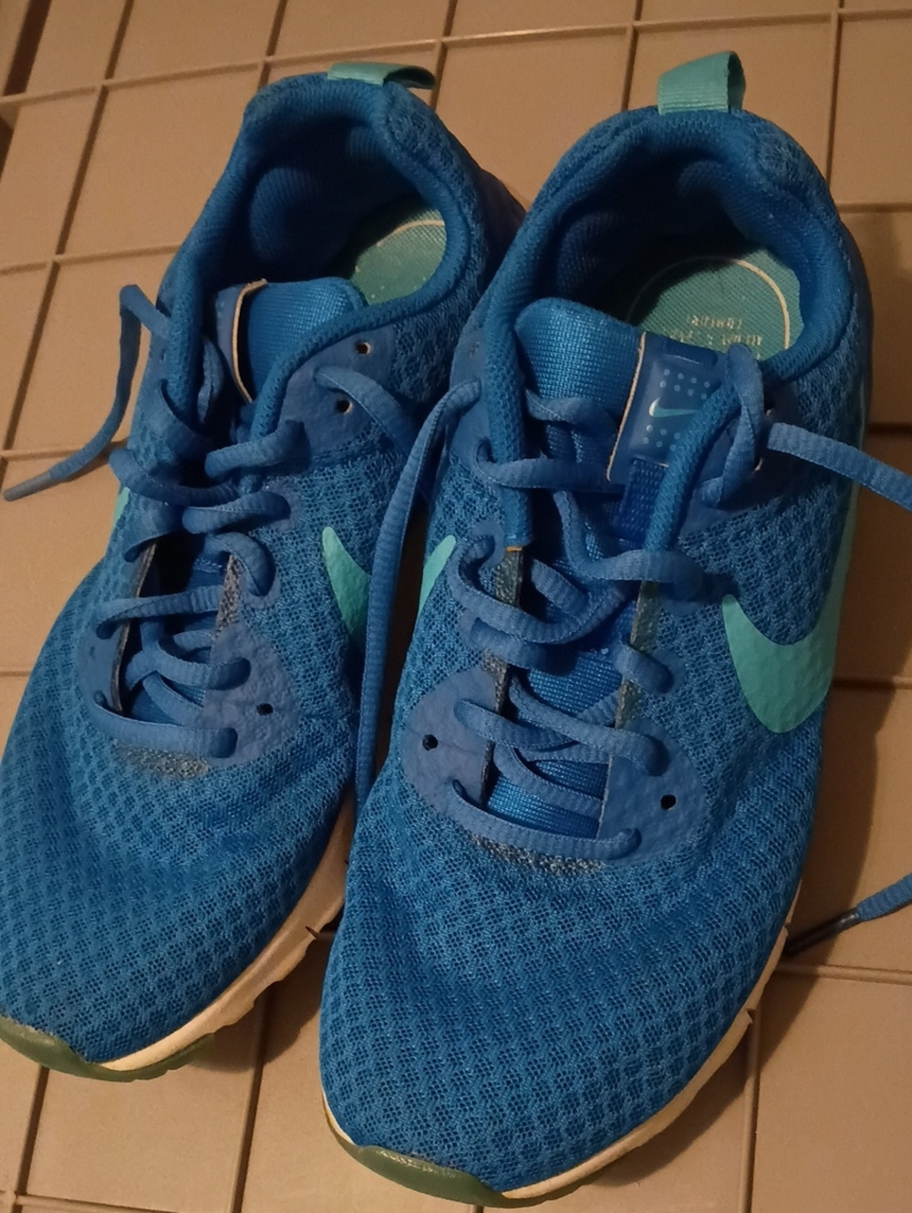 Nike Blue Athletic Sneakers with Teal Swoosh